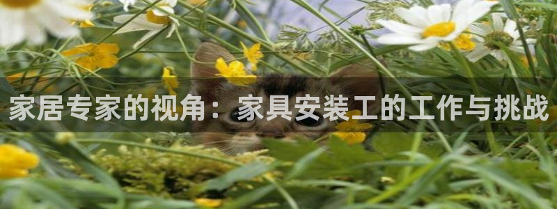 龙八国际不管吗