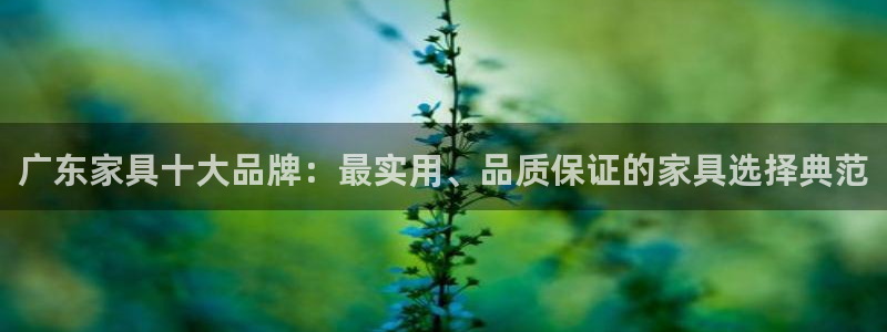 龙八国际歌曲