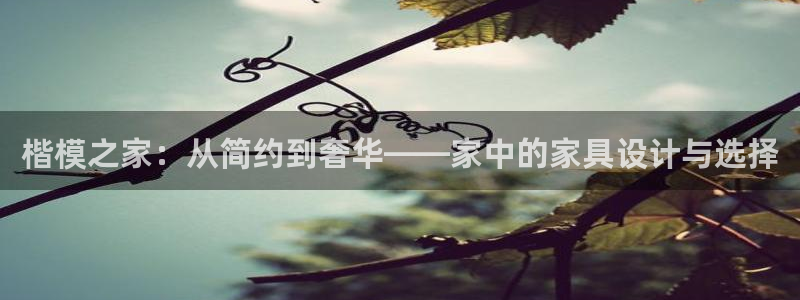 龙八国际手机下载安装