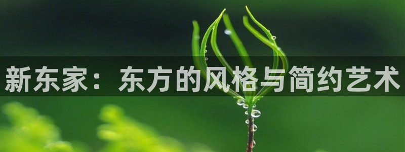 龙八国际网b48点tv
