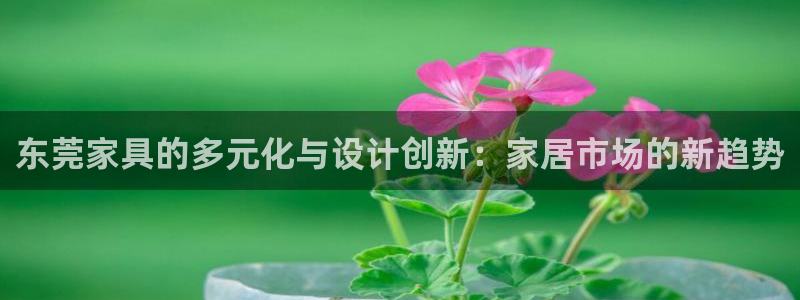 龙八国际可b48点tv