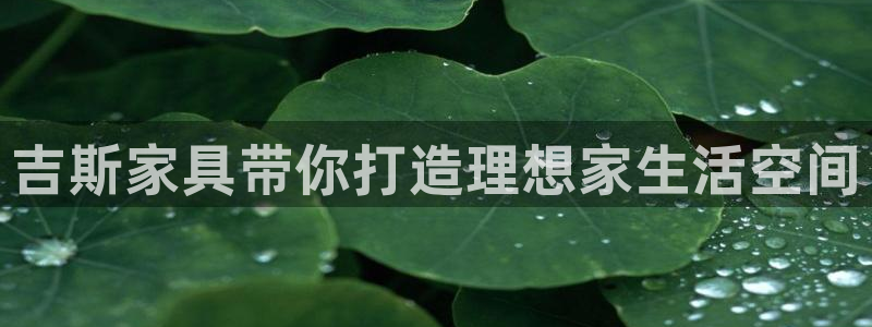 龙八国际下载链接官网