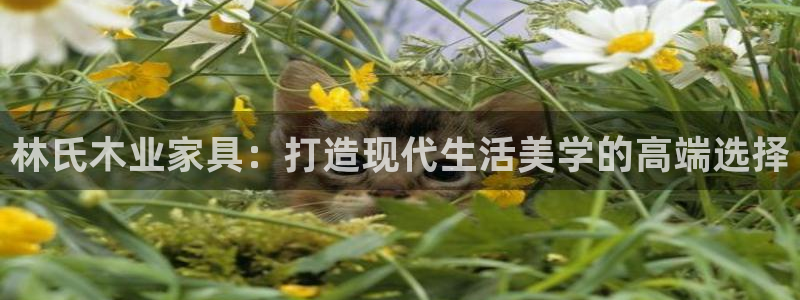 龙八国际平台真人游戏