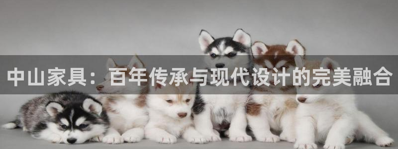 龙八国际客户端下载安卓