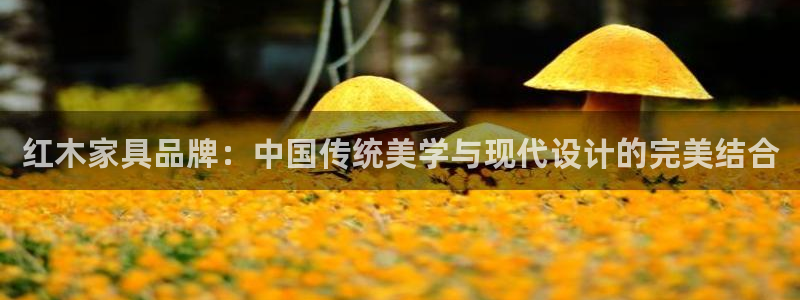 龙八国际long8