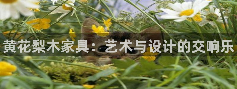 龙八国际服官网下载