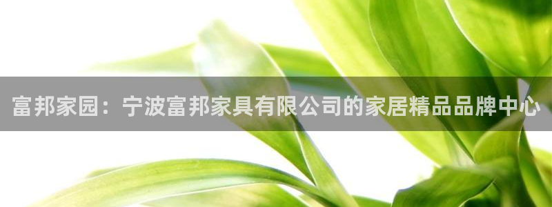 冯文戈 龙八国际集团