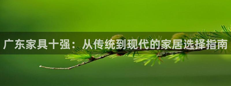 龙八国际下载链接手机端