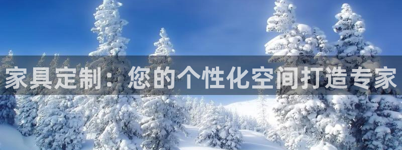 龙八国际更新