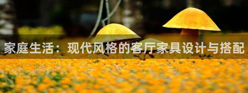 龙八国际头号玩家是谁