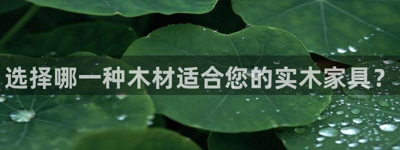 龙八国际服官网入口