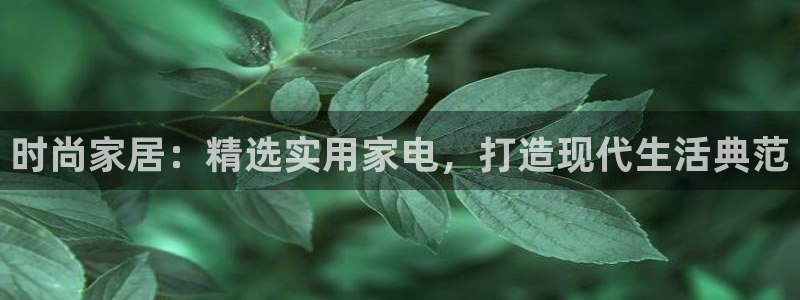 龙八国际官网手机版登录
