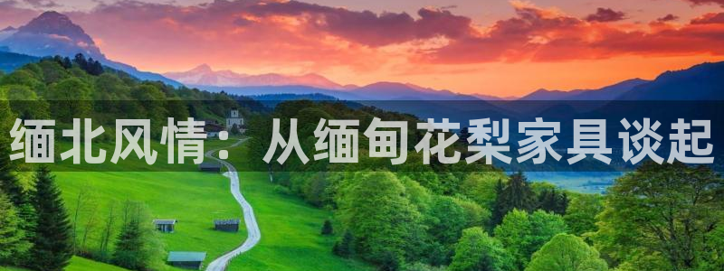 龙八国际娱乐预约