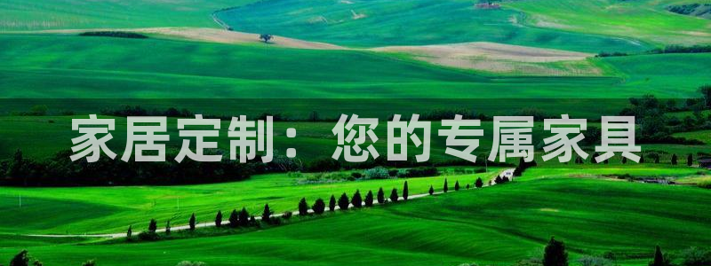 龙八国际客户端app
