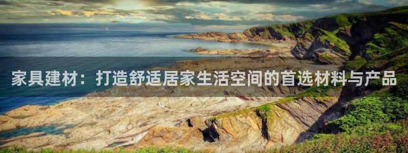 龙八国际是干什么的