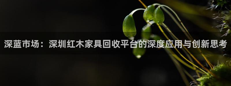 龙八国际app客户端