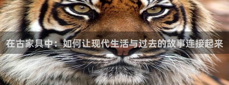 龙八国际头号玩家