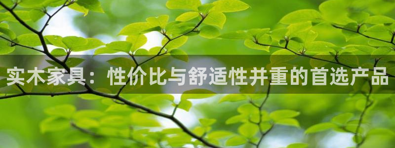 龙八国际娱手机