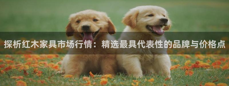 龙八国际pt游戏下载：探析红木家具市场行情：精选最具代表性的