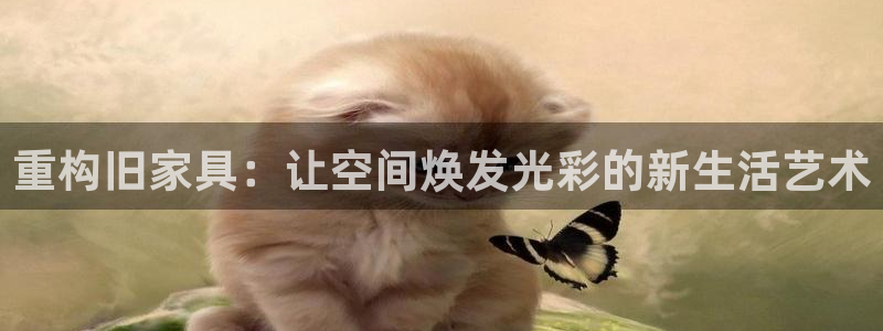 龙八国际游戏登录