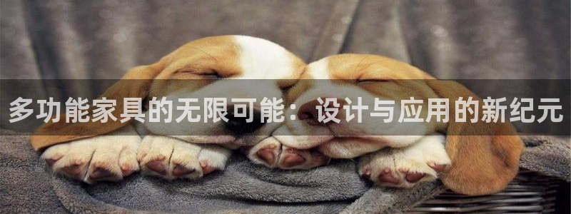 龙八国际官方网站