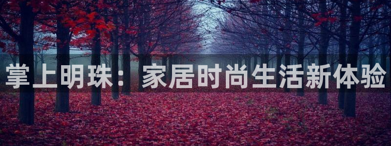 龙八国际可以京东充值吗