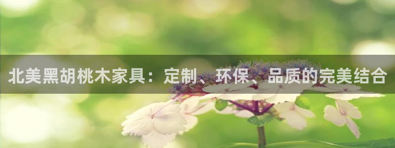 龙八国际客户端下载