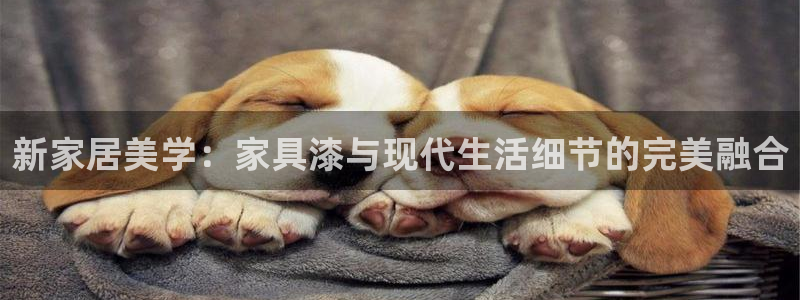龙八国际兑换码