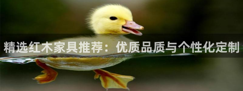 下载龙八国际手机版手游