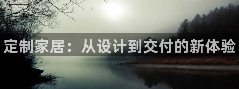 龙八国际集团：定制家居：从设计到交付的新体验