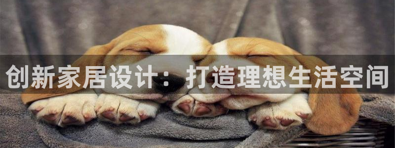 龙八国际娱 乐