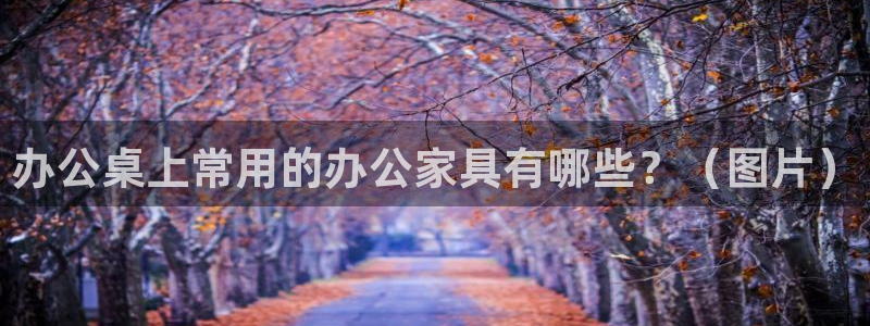 龙八国际体育
