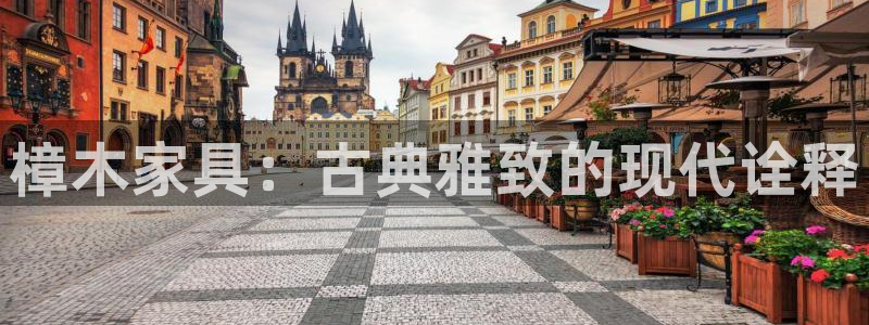 龙 八国际