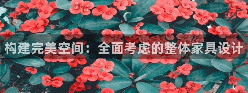 龙八国际娱手机
