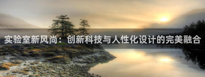 龙八国际p