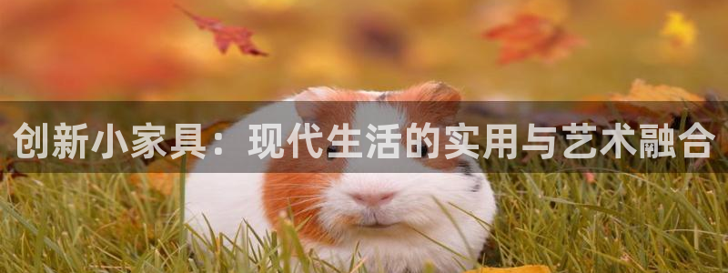 龙八国际手机版下载安卓