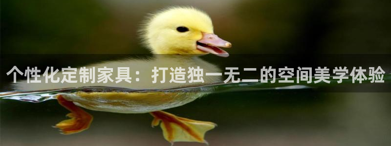 龙八国际国际娱乐官网