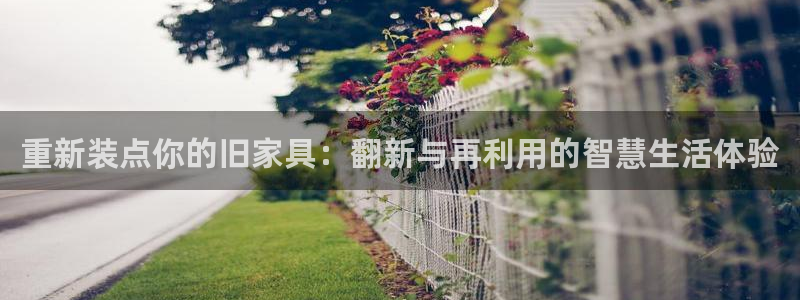 龙八国际合法