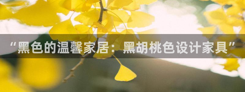 龙八国际手机下载安装