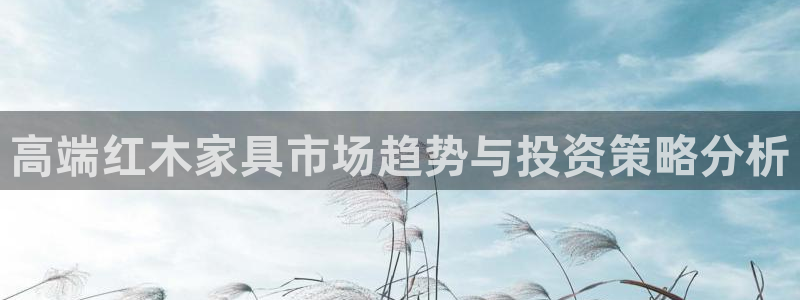 龙八国际官网手机端