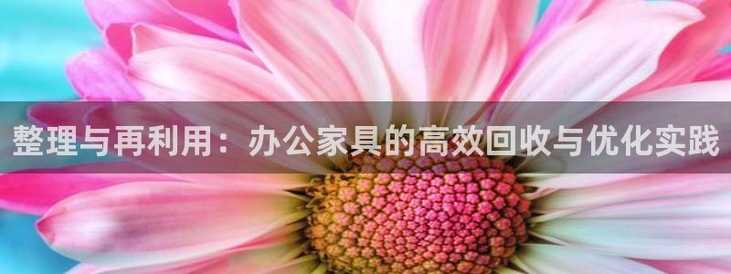 龙八国际游戏视频