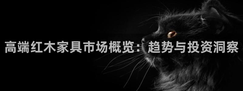 龙八国际下载链接手机端
