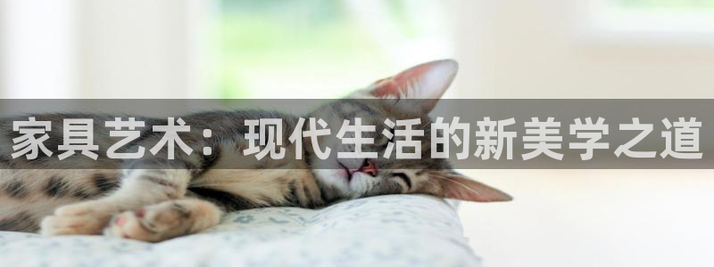 龙八国际客服端登录