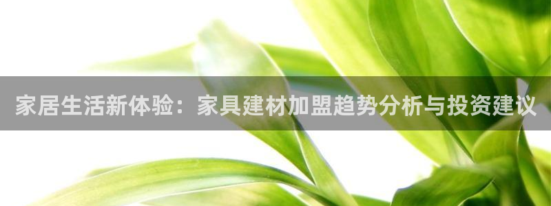 龙八国际版游戏