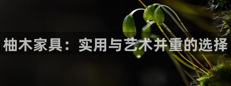 龙八国际刘佳烨