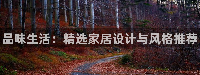 龙八国际管网登陆