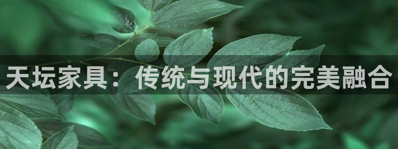 龙八国际手机版入口官网