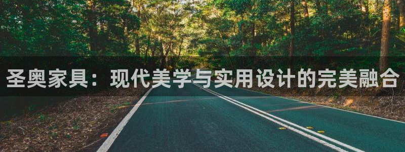 龙八国际mG：圣奥家具：现代美学与实用设计的完美融合