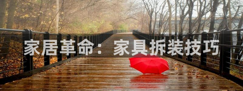 l龙八国际网页登录