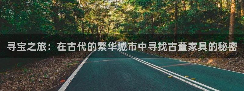 龙八国际代理